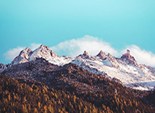 告别浩克！亚冠曾连续9场进球创历史 上港夺冠功臣